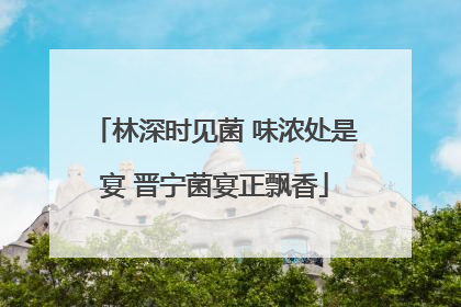 林深时见菌 味浓处是宴 晋宁菌宴正飘香