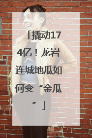 撬动174亿！龙岩连城地瓜如何变“金瓜”