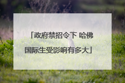 政府禁招令下 哈佛国际生受影响有多大