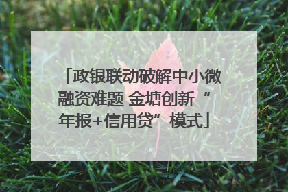 政银联动破解中小微融资难题 金塘创新“年报+信用贷”模式
