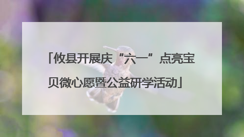 攸县开展庆“六一”点亮宝贝微心愿暨公益研学活动