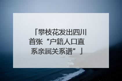 攀枝花发出四川首张“户籍人口直系亲属关系谱”