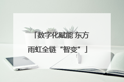 数字化赋能 东方雨虹全链“智变”