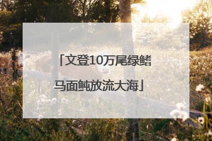 文登10万尾绿鳍马面鲀放流大海