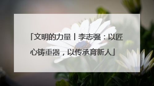 文明的力量丨李志强：以匠心铸重器，以传承育新人