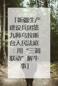 新疆生产建设兵团第九师乌拉斯台人民法庭：用“三调联动”解牛事