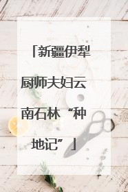 新疆伊犁厨师夫妇云南石林“种地记”