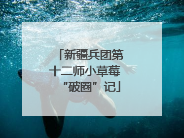 新疆兵团第十二师小草莓“破圈”记