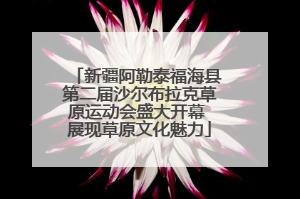 新疆阿勒泰福海县第二届沙尔布拉克草原运动会盛大开幕 展现草原文化魅力
