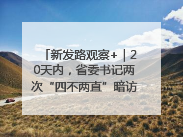 新发路观察+｜20天内，省委书记两次“四不两直”暗访，有何深意？