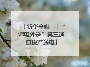 新华全媒+｜“疆电外送”第三通道投产送电
