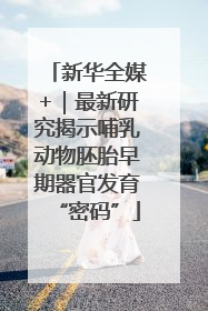 新华全媒+｜最新研究揭示哺乳动物胚胎早期器官发育“密码”