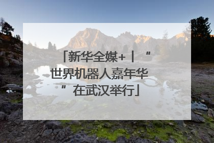 新华全媒+丨“世界机器人嘉年华”在武汉举行