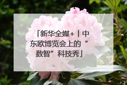 新华全媒+丨中东欧博览会上的“数智”科技秀