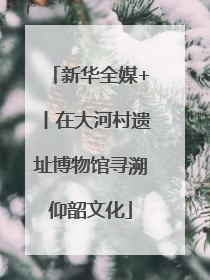 新华全媒+丨在大河村遗址博物馆寻溯仰韶文化
