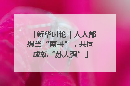 新华时论｜人人都想当“南哥”，共同成就“苏大强”