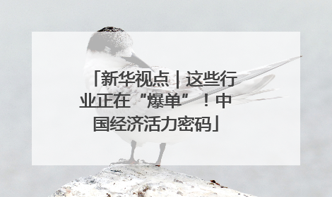新华视点｜这些行业正在“爆单”！中国经济活力密码