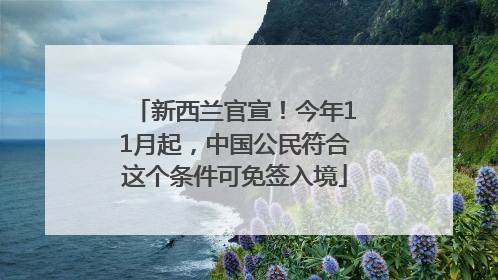 新西兰官宣！今年11月起，中国公民符合这个条件可免签入境