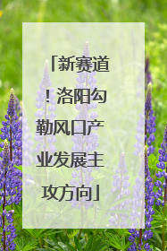 新赛道！洛阳勾勒风口产业发展主攻方向