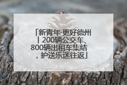 新青年·更好德州丨200辆公交车、800辆出租车集结，护送乐迷往返