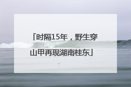 时隔15年，野生穿山甲再现湖南桂东