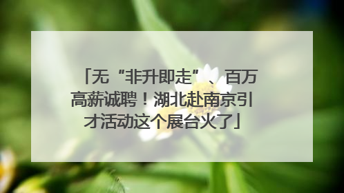 无“非升即走”、百万高薪诚聘！湖北赴南京引才活动这个展台火了