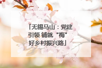 无锡马山：党建引领 铺就“梅”好乡村振兴路