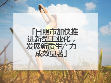 日照市加快推进新型工业化，发展新质生产力成效显著