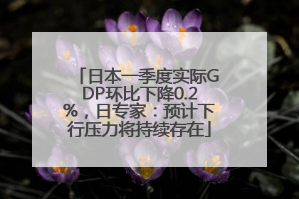 日本一季度实际GDP环比下降0.2%，日专家：预计下行压力将持续存在