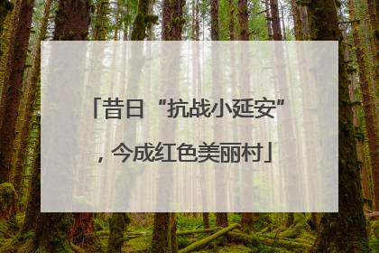 昔日“抗战小延安”，今成红色美丽村