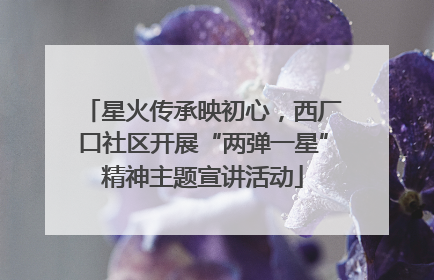 星火传承映初心，西厂口社区开展“两弹一星”精神主题宣讲活动