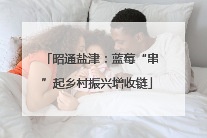 昭通盐津：蓝莓“串”起乡村振兴增收链