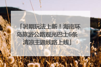 暑期玩法上新！海南环岛旅游公路观光巴士6条清凉主题线路上线