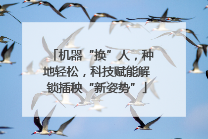 机器“换”人，种地轻松，科技赋能解锁插秧“新姿势”