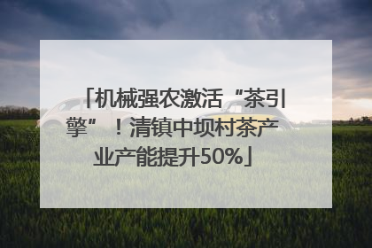 机械强农激活“茶引擎”！清镇中坝村茶产业产能提升50%