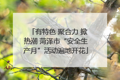 有特色 聚合力 掀热潮 菏泽市“安全生产月”活动遍地开花