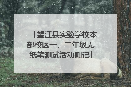 望江县实验学校本部校区一、二年级无纸笔测试活动侧记