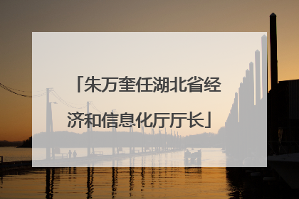 朱万奎任湖北省经济和信息化厅厅长