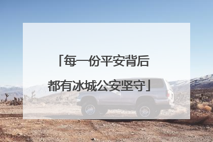 每一份平安背后 都有冰城公安坚守