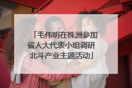 毛伟明在株洲参加省人大代表小组调研北斗产业主题活动