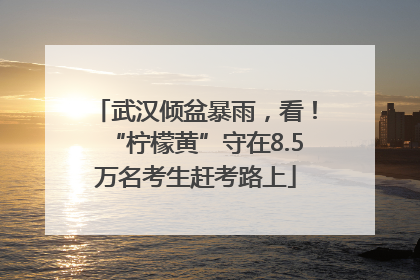 武汉倾盆暴雨，看！“柠檬黄”守在8.5万名考生赶考路上