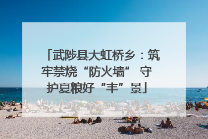 武陟县大虹桥乡：筑牢禁烧“防火墙” 守护夏粮好“丰”景