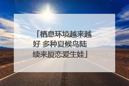 栖息环境越来越好 多种夏候鸟陆续来厦恋爱生娃
