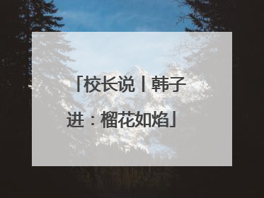 校长说丨韩子进：榴花如焰