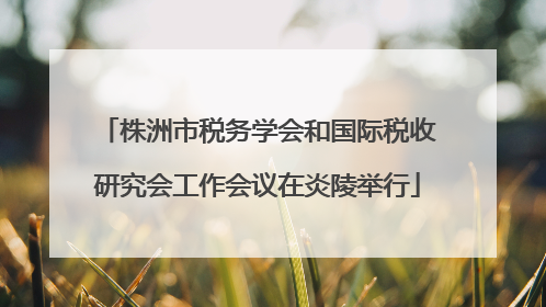 株洲市税务学会和国际税收研究会工作会议在炎陵举行