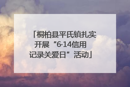 桐柏县平氏镇扎实开展“6·14信用记录关爱日”活动