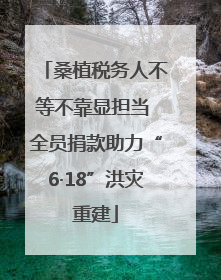 桑植税务人不等不靠显担当 全员捐款助力“6·18”洪灾重建