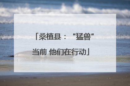 桑植县：“猛兽”当前 他们在行动