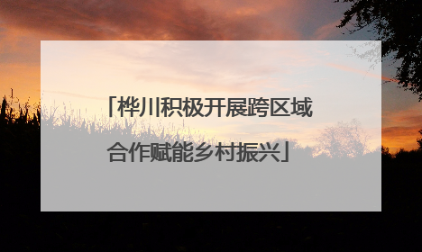 桦川积极开展跨区域合作赋能乡村振兴