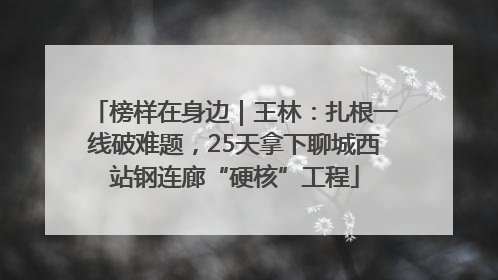 榜样在身边｜王林：扎根一线破难题，25天拿下聊城西站钢连廊“硬核”工程